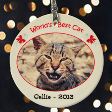 Meine Katze der Weltmeister Keramikschmuck