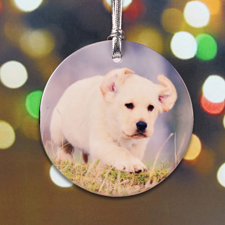 Hund immer dabei Personalisierter Schmuck für Hund und Halter