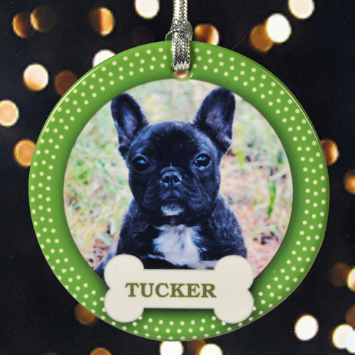 Vierbeinige Freunde Schmuck